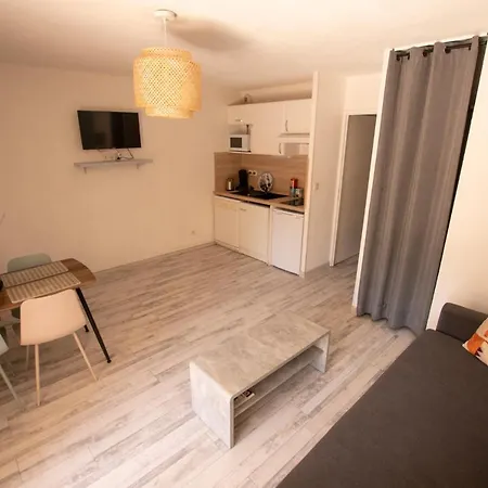 Le Petit Pyrénéen - Centre; Terrasse; Parking *