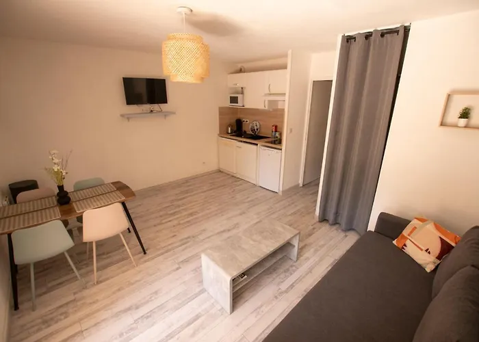 Le Petit Pyrénéen - Centre; Terrasse; Parking *